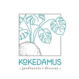 Kokedamus