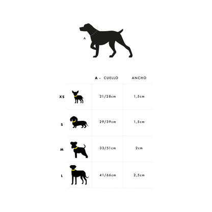 Collar para perro DOGTELLA Dukier M