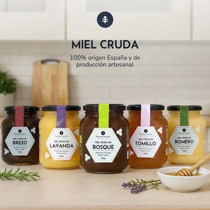 Pack 6x Miel Cruda de Tomillo Planeta Huerto 500 g