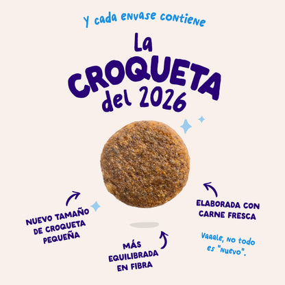 Croquettes pour chiens au saumon norvégien Edgard &amp; Cooper 1 kg