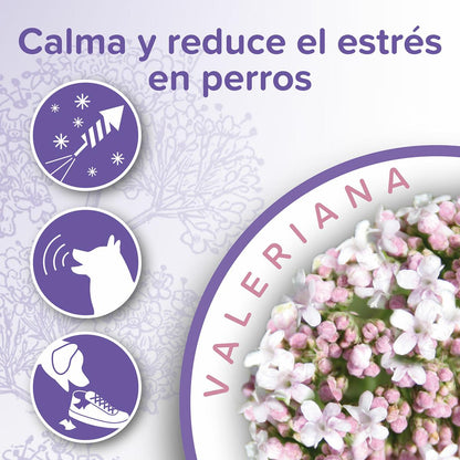 Calming Collar Perro calmante natural Beaphar 65 cm
