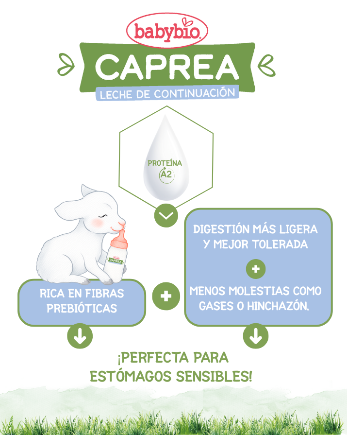 Pack 2x Leche de Cabra BIO Caprea 1 Babybio 800 g