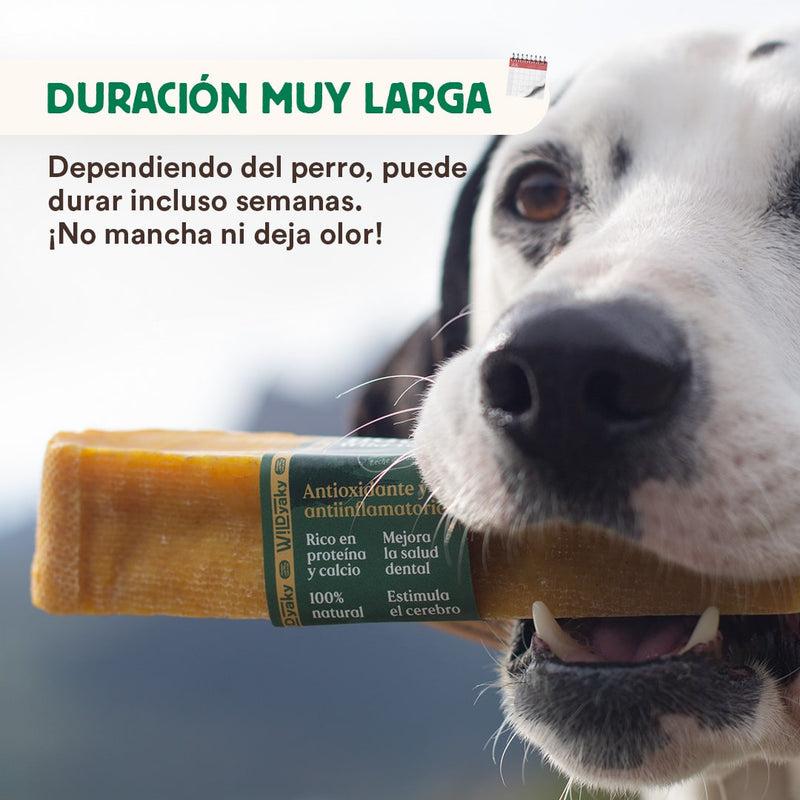 Mordedor Wild Yaky Golden Barrita de Leche de Yak del Himalaya con Cúrcuma Wild Balance 1 ud L+