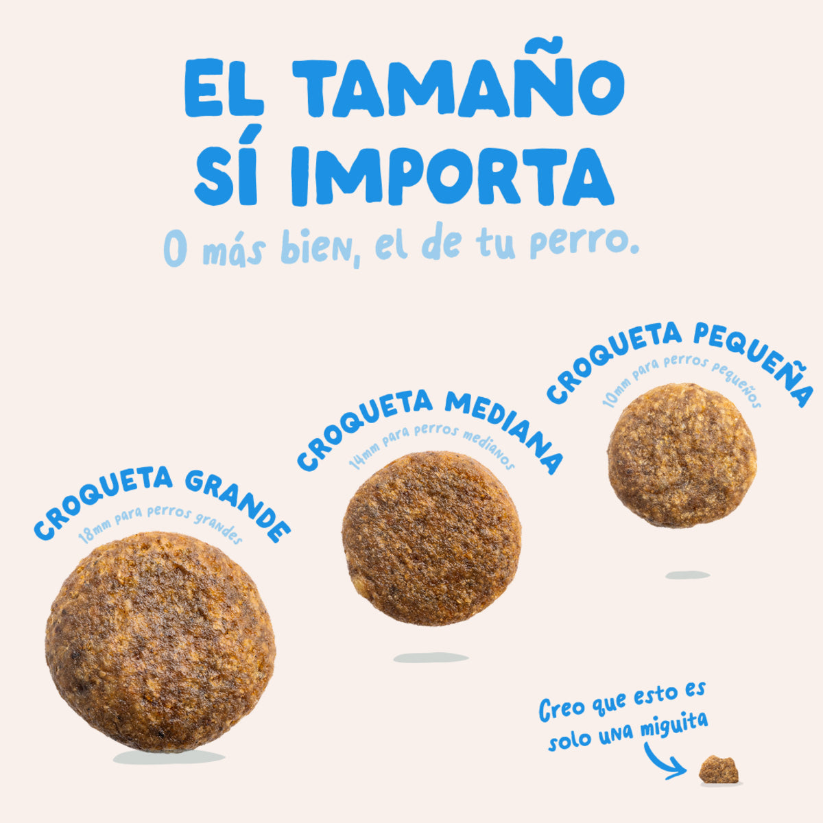 Croquettes pour chiens au saumon norvégien Edgard & Cooper 1 kg