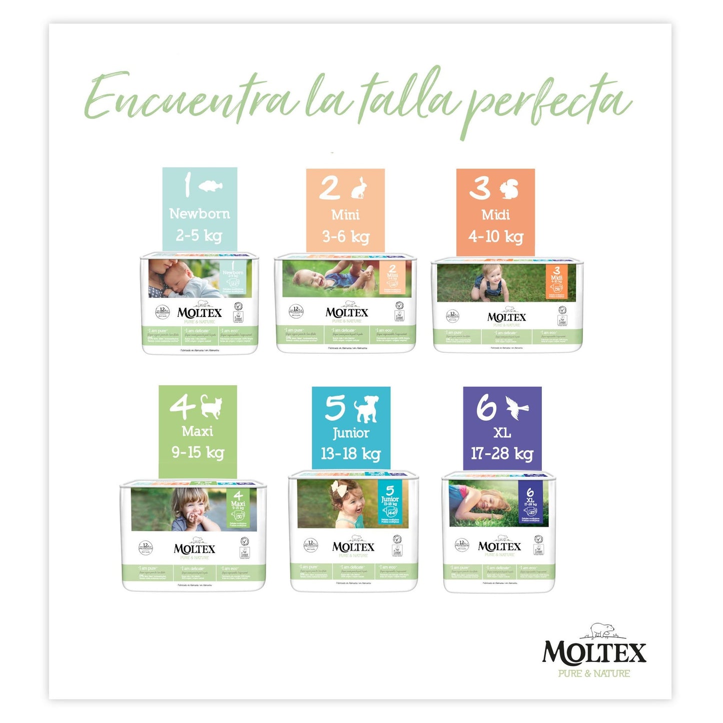 Pack ahorro Pañales T2 (3-6 kg) Moltex Pure & Nature, 144 Uds