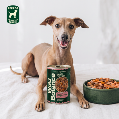 Boîte de saumon et de veau BARF pour chiens Wild Balance 400 g