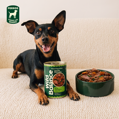 Boîte de bœuf BARF pour chiens Wild Balance 400 g