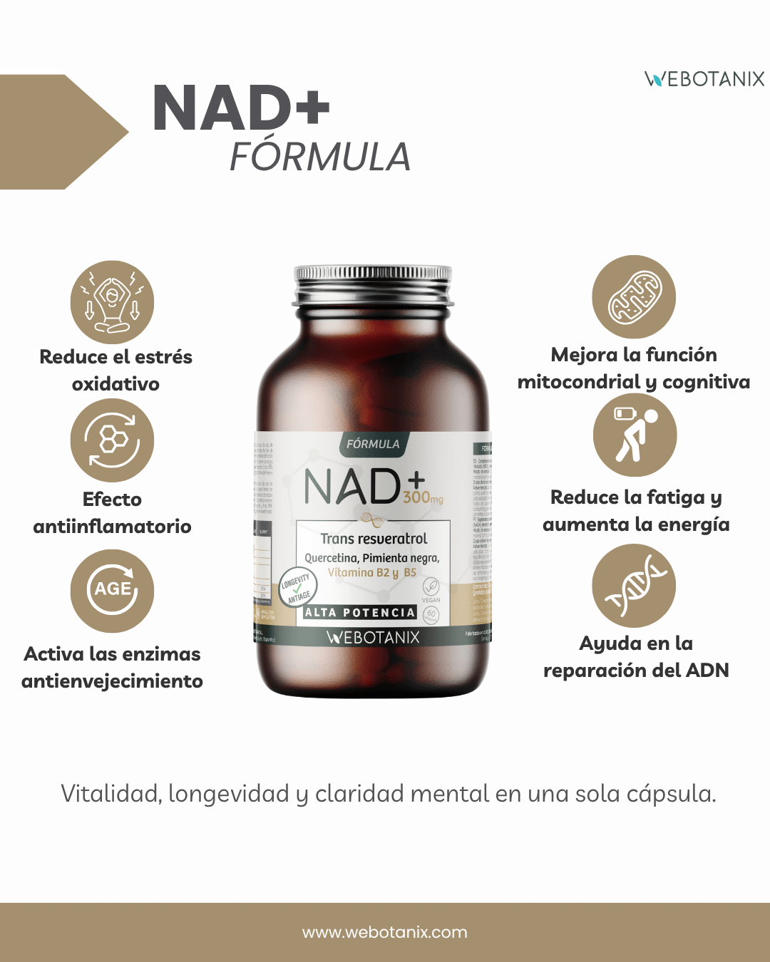 NAD+ 300 mg Trans Resvératrol WEBOTANIX 60 gélules