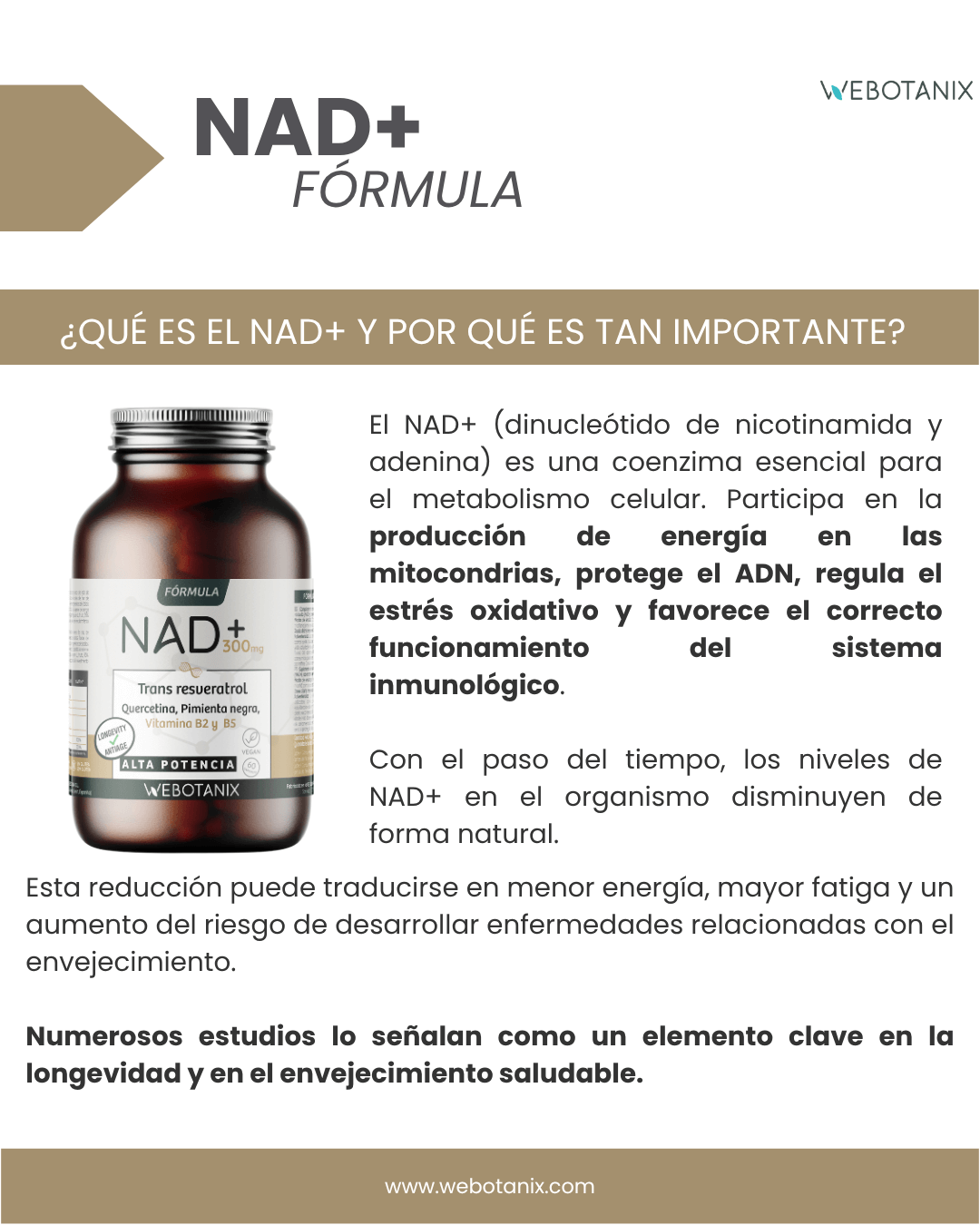 NAD+ 300 mg Trans Resvératrol WEBOTANIX 60 gélules