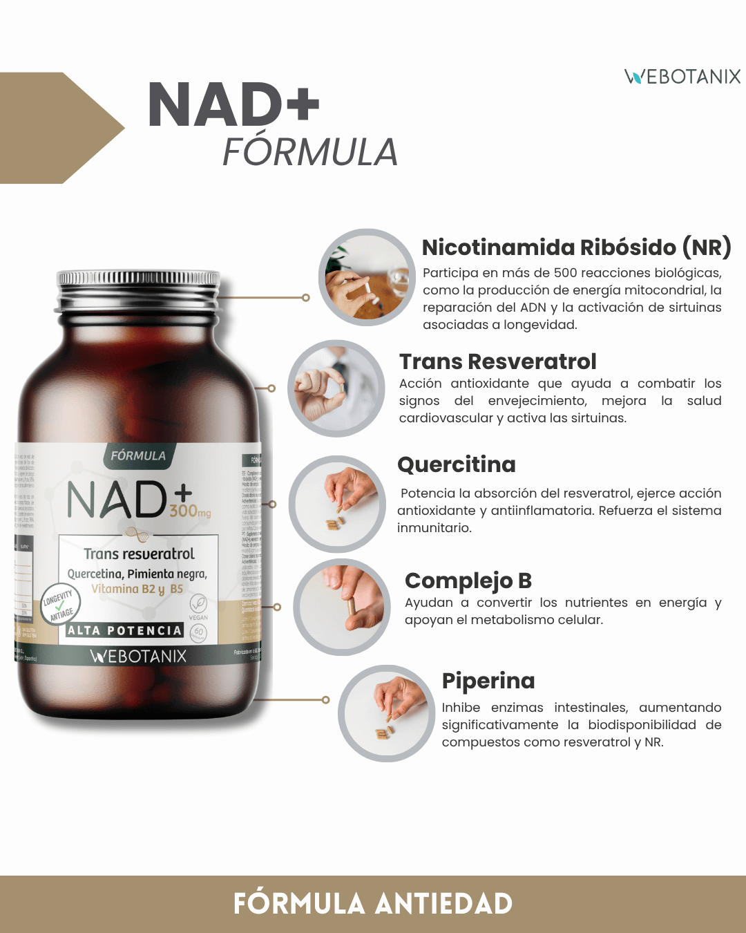 NAD+ 300 mg Trans Resvératrol WEBOTANIX 60 gélules