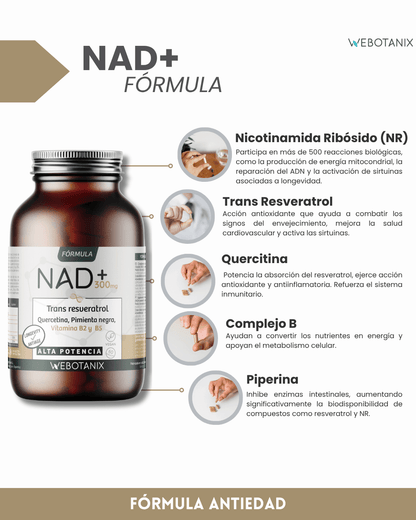 NAD+ 300 mg Trans Resvératrol WEBOTANIX 60 gélules