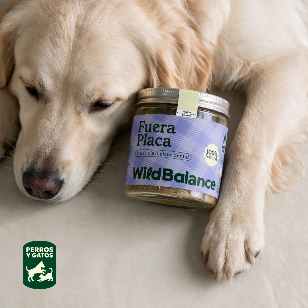 Supplément anti-plaque dentaire pour animaux Wild Balance 100 g