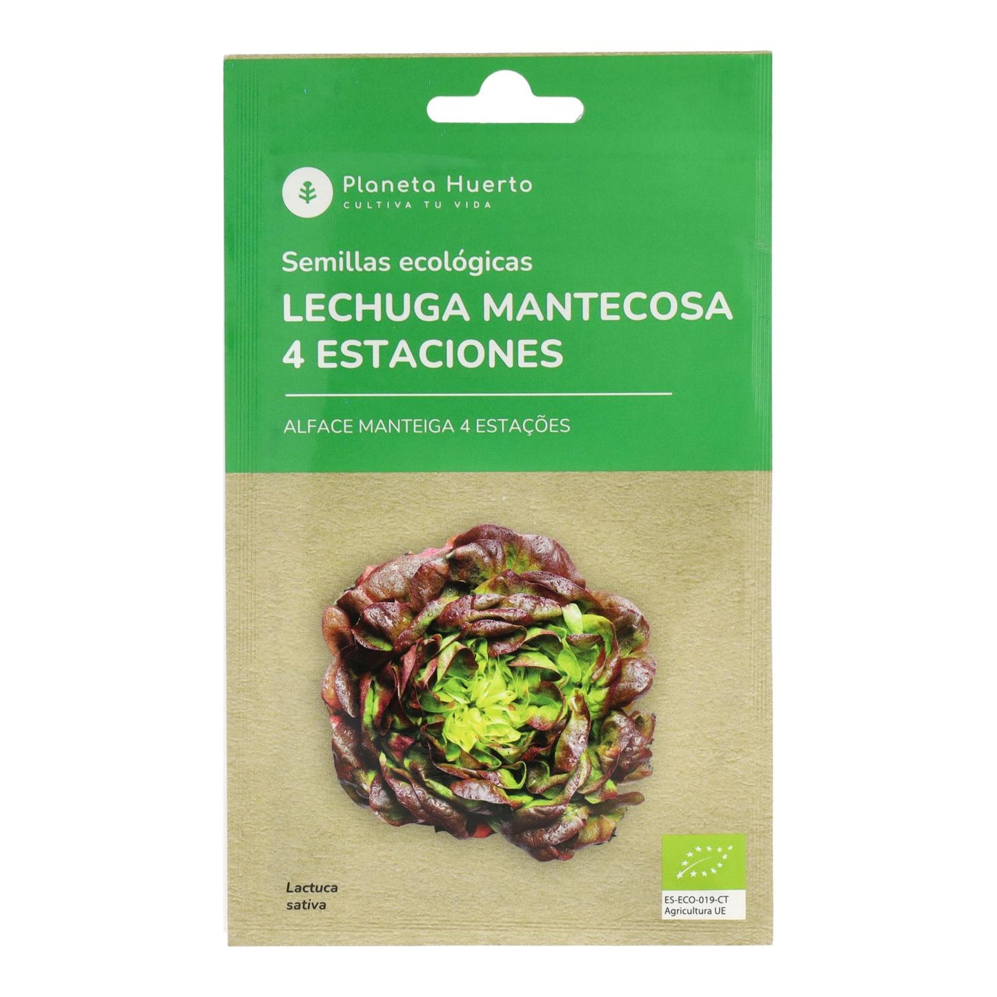 Semillas de Lechuga Mantecosa 4 estaciones ecológicas Planeta Huerto