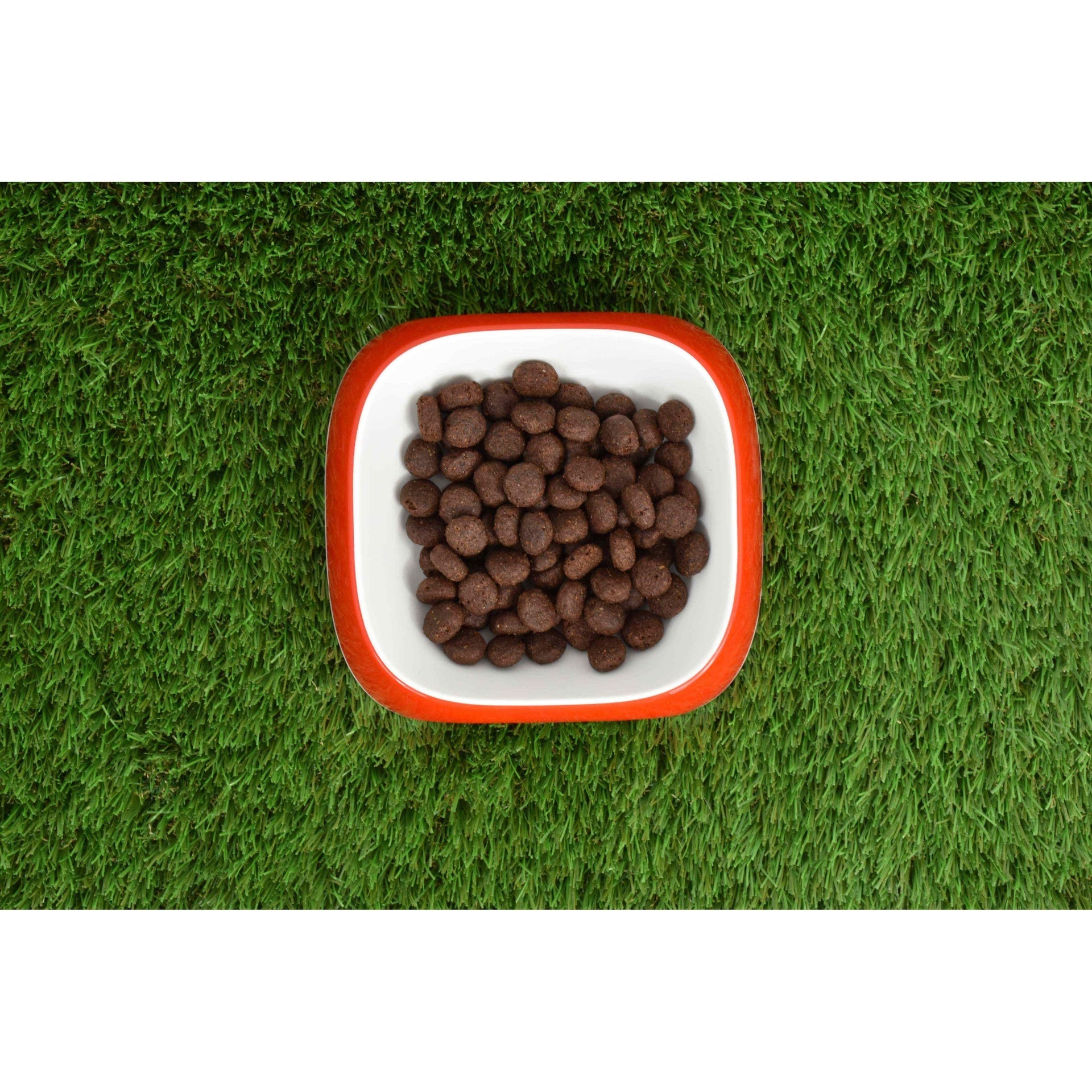 Pienso Natural Grain Free Superpremium Salmón 12 kg Planeta Huerto