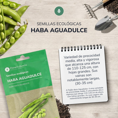 Semillas de Haba Aguadulce ecológicas Planeta Huerto