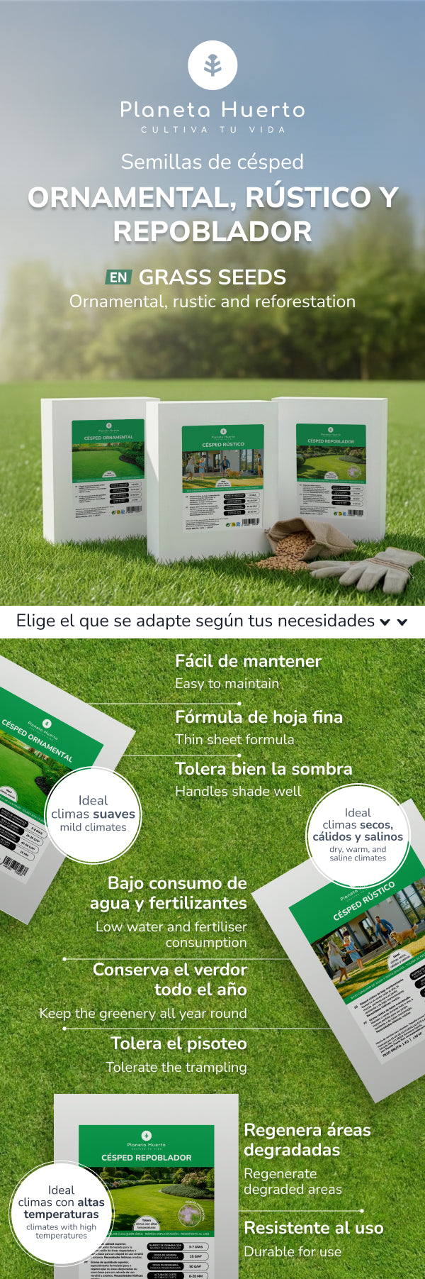 Planeta Huerto Graines de gazon rustique 1 kg