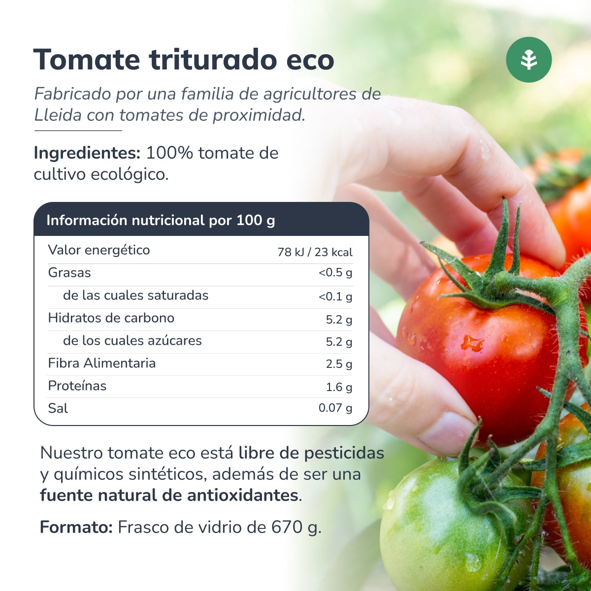 Tomates concassées ECO Planeta Huerto 670 g